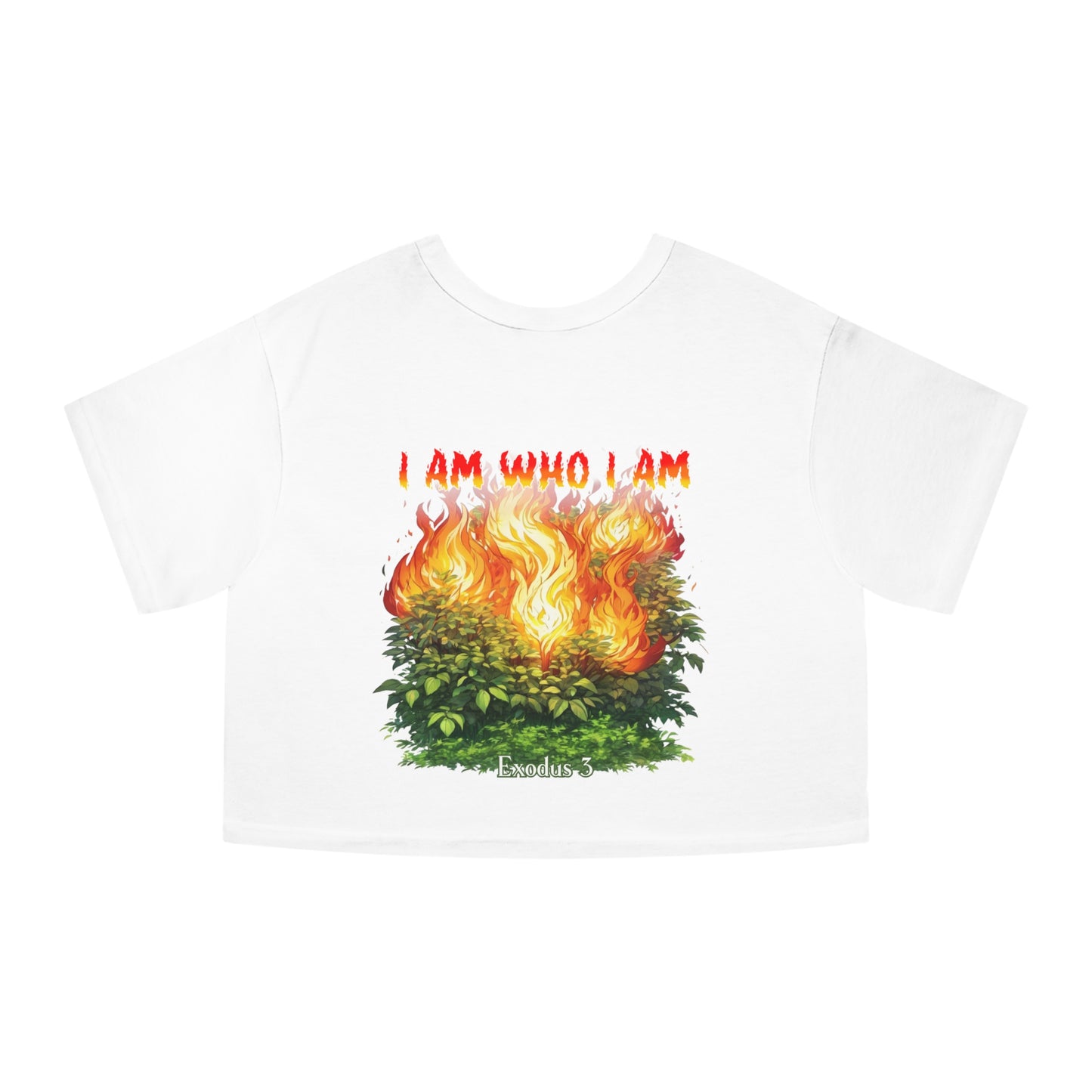 Burning Bush Crop Top